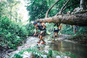 BIB: 
                            <button type="button" onclick="openModal(25441908)" class="btn btn-primary btn-sm float-right btn-popup" data-toggle="modal" data-target=".modal-high-quality">
                        <i class="fas fa-shopping-cart"></i> Add to Cart
                    </button>
                                            <button type="button" onclick="isThisMe(25441908, true)" class="btn btn-success btn-sm float-right btn-popup btn-isme hidden" data-toggle="tooltip" data-placement="bottom" title="นี่คือรูปของคุณใช่ไหม คลิกที่นี่เพื่อเอาเข้าอัลบั้ม">
                        <i class="fas fa-plus"></i> Add to album
                    </button>
                    <button type="button" onclick="isThisMe(25441908, false)" class="btn btn-warning btn-sm float-right btn-popup btn-isnotme hidden">
                        <i class="fas fa-ban"></i> Remove from album
                    </button>